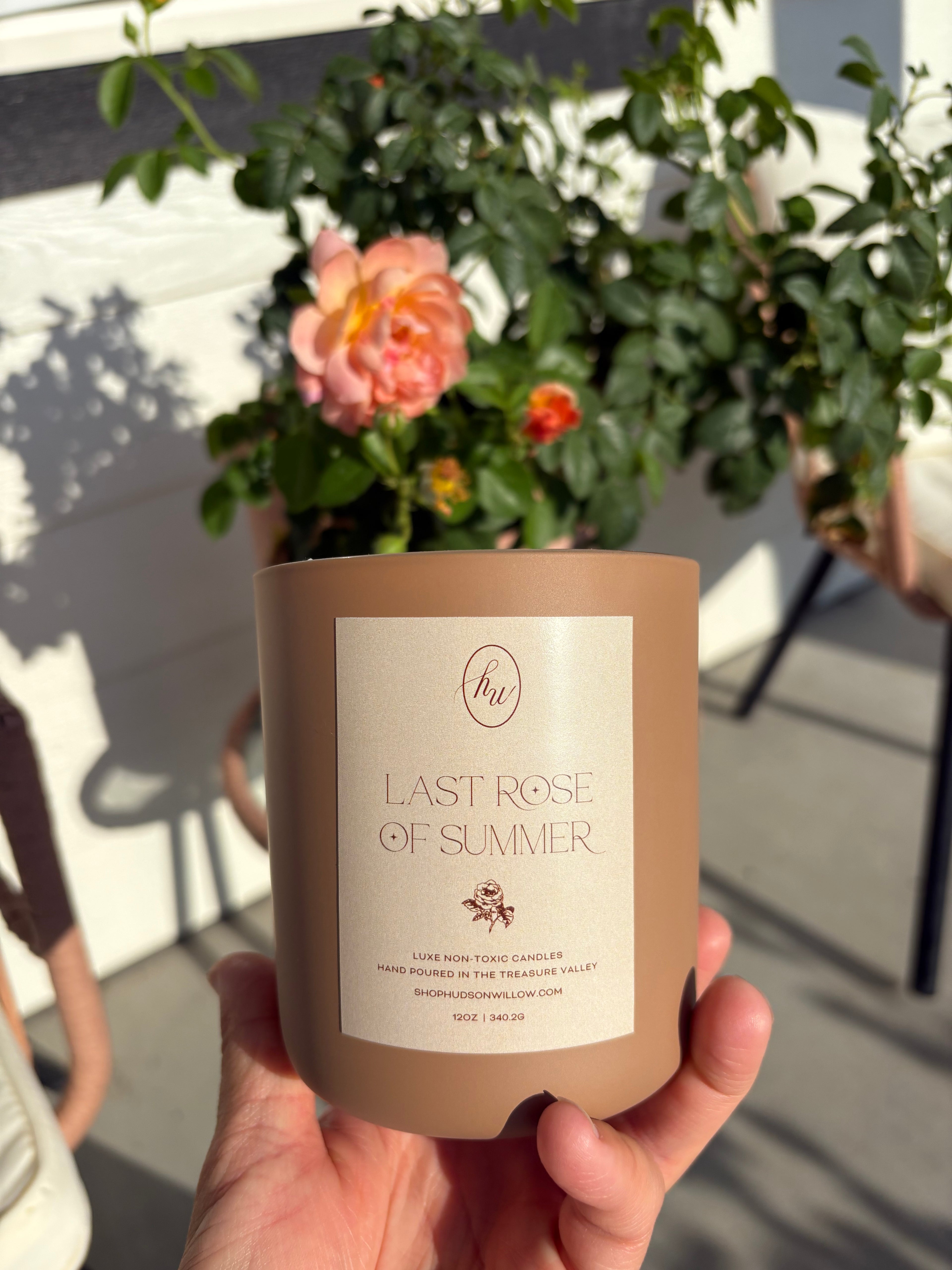 Last Rose of Summer