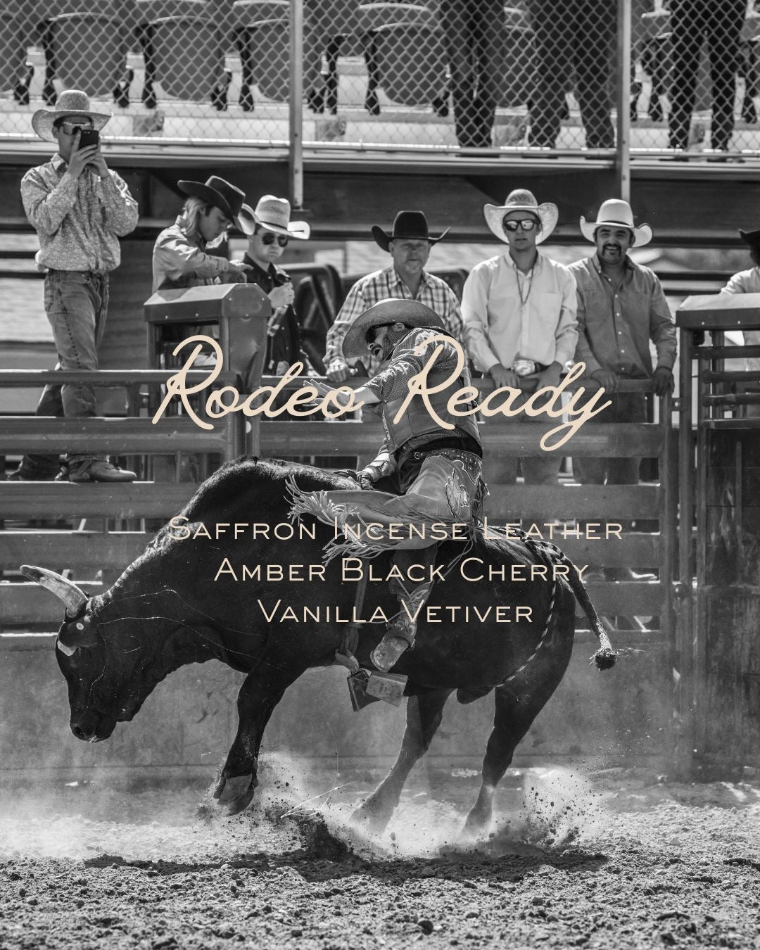 Rodeo Ready
