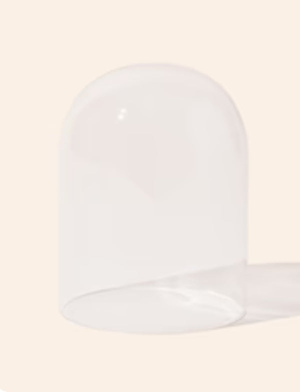 Glass Cloche